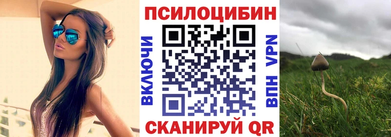 Псилоцибиновые грибы GOLDEN TEACHER  blacksprut сайт  Серафимович 